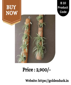 BAMBOO PRODUCT