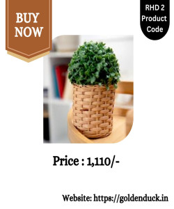 RATTAN HOME DECORE PRODUCT